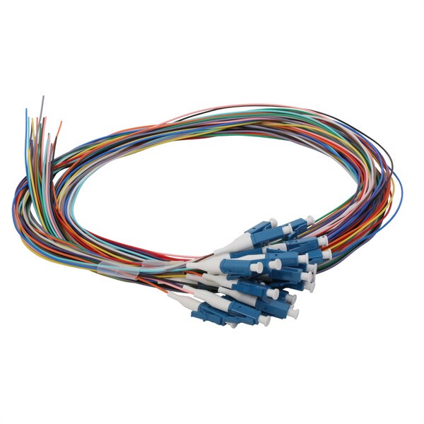 24 Fiber Pigtail, LC/UPC, 900 µm, 9 µm OS2, 1m